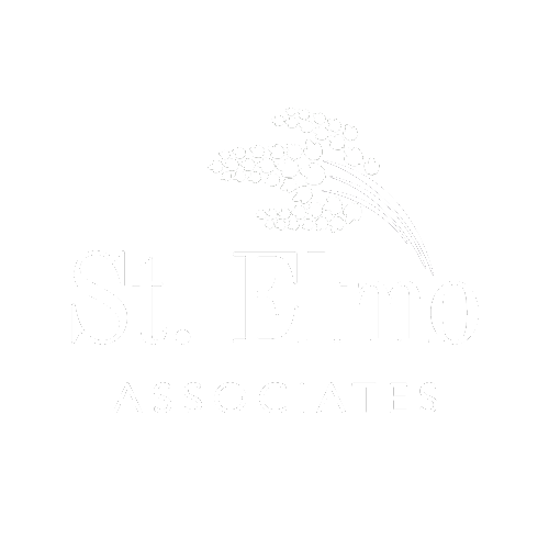 StElmo logo white